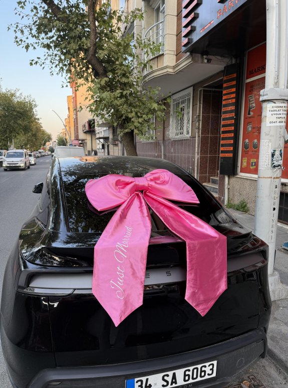 Pembe Dev Saten Fiyonk Baskılı (Sünger Dolgulu)